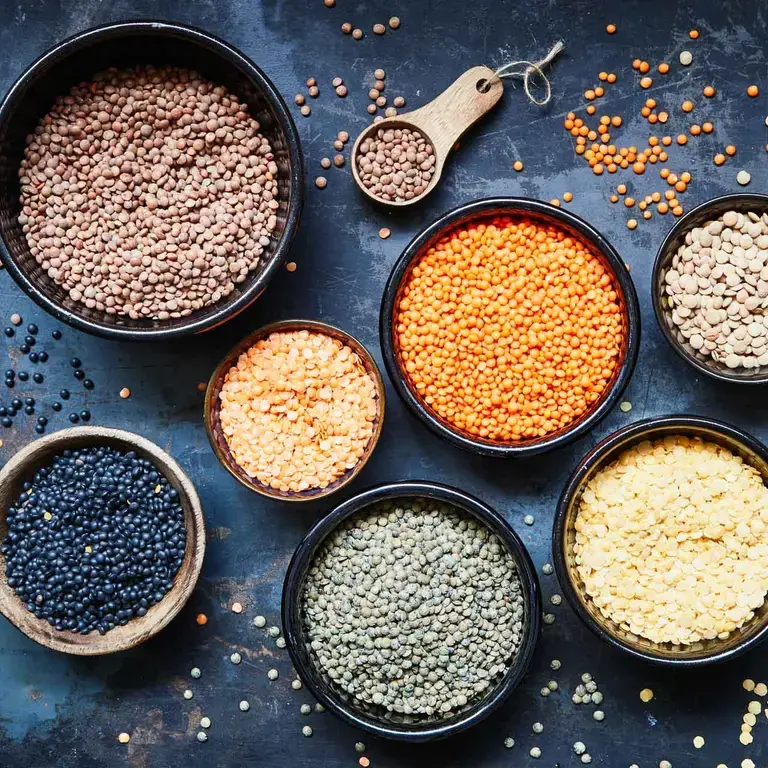 PULSES & DAL