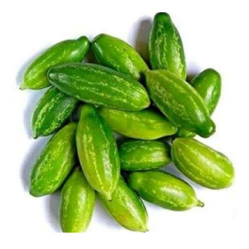 Tindora Ivy Gourd