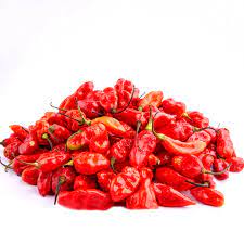 African Chilli Hot Pepper