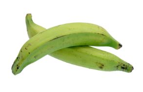 Plantain Green