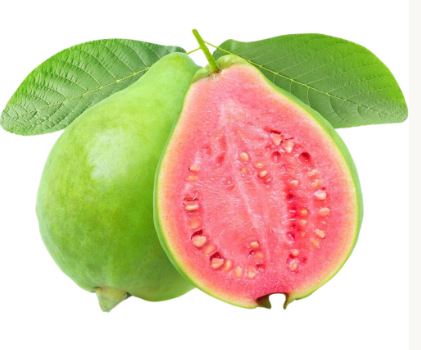 GUAVA RED