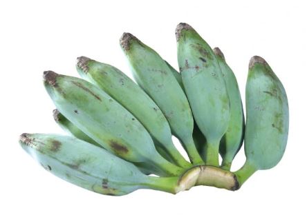 Ash Plantain