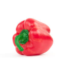 CAPSICUM RED
