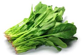 SPINACH