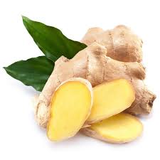 GINGER