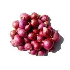 SHALLOT
