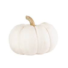 WHITE PUMPKIN