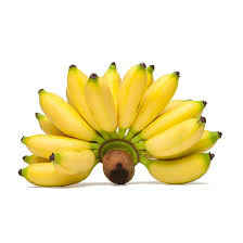 APPLE BANANA (CHERU PAZHAM)