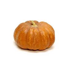 PUMPKIN (ORANGE)