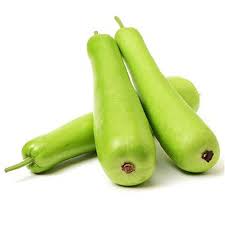 BOTTLE GOURD