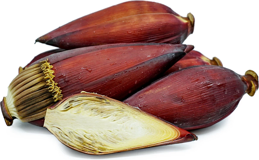 BANANA FLOWER