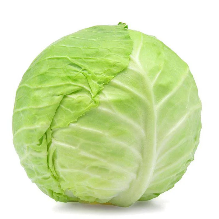 CABBAGE WHITE
