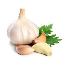 GARLIC