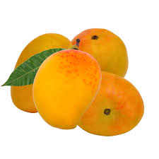 ALPHONSO MANGO