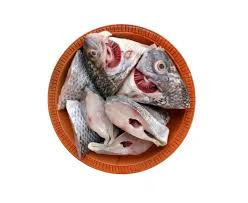 Thilapia Fillet 1kg