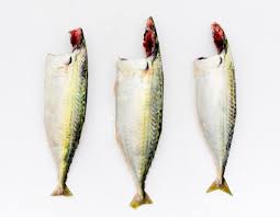 Mackerel Clned 700G