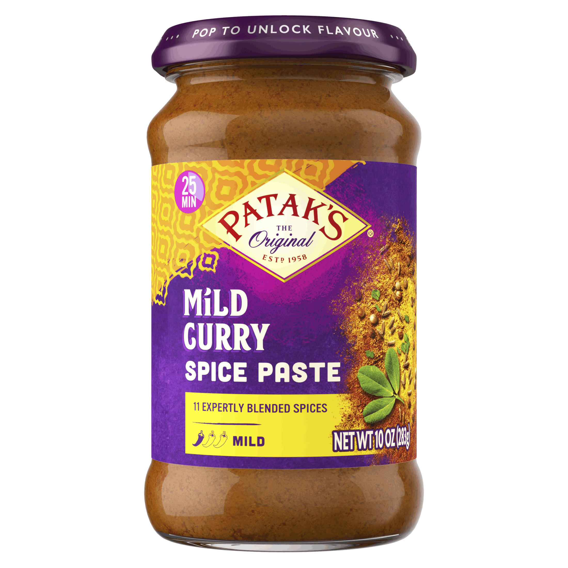 PATAK CURRY PASTE MILD