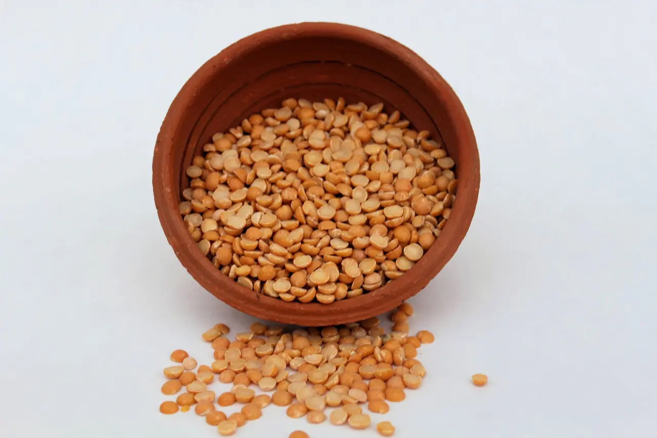 GV. Nadan Kadala (Chana) Parippu 1K