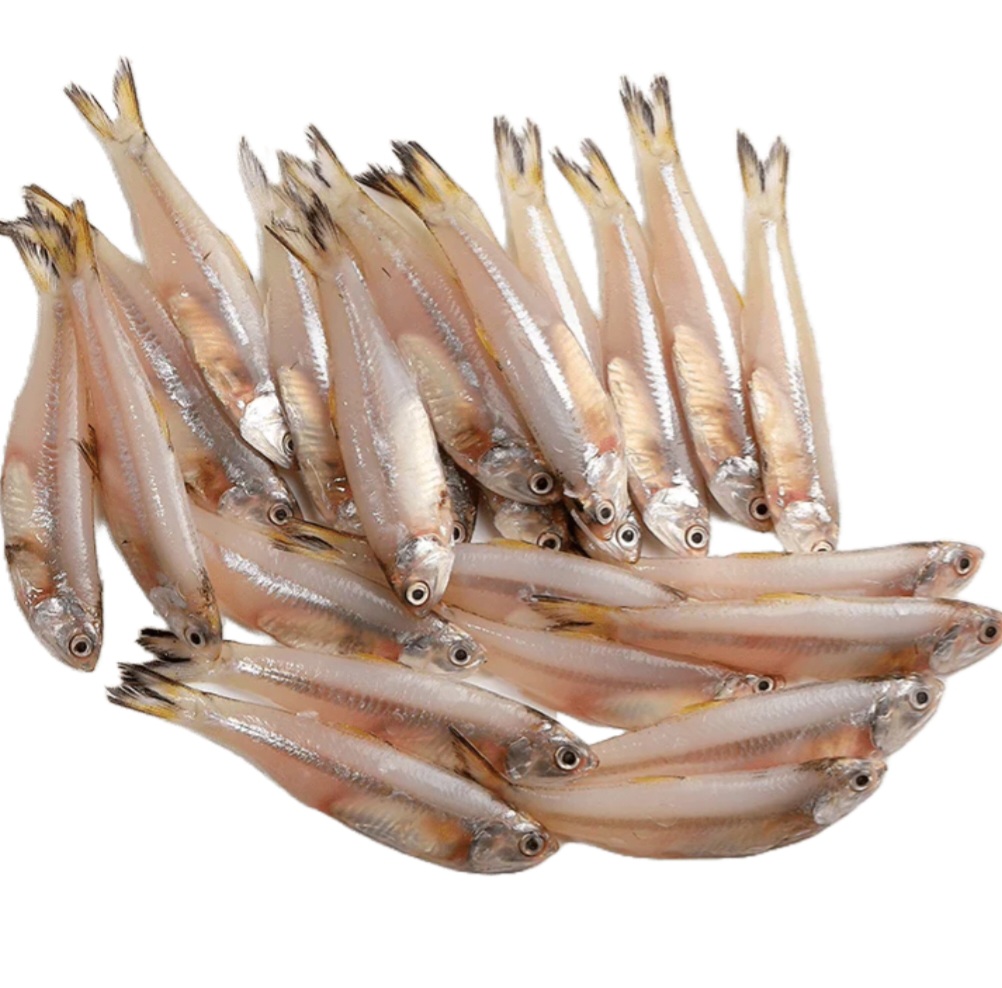 ANCHOVY