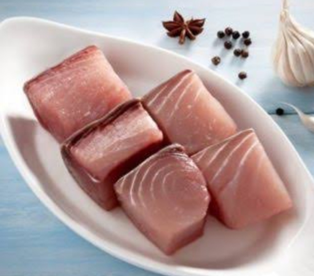 SAIL FISH