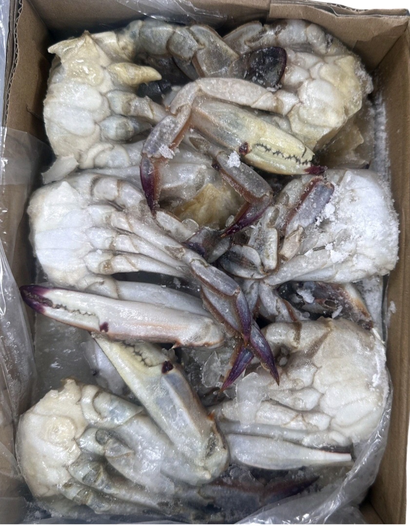 BLUE CRAB